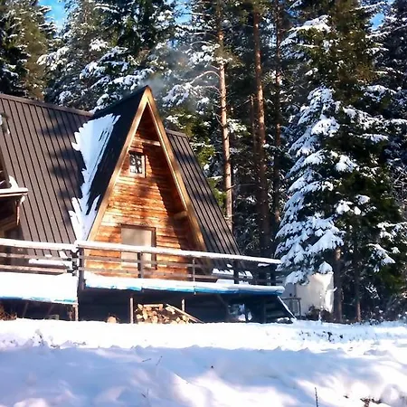 Log Forest House Dom wakacyjny