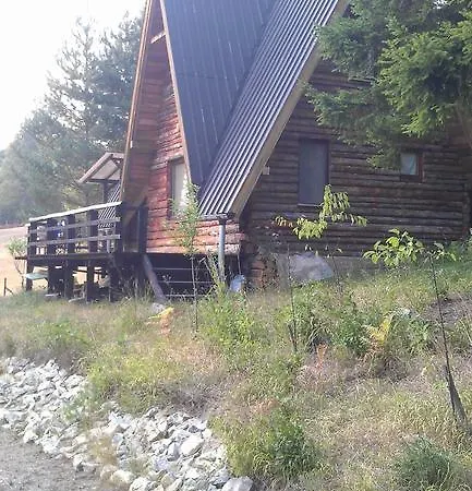 Dom wakacyjny Log Forest House