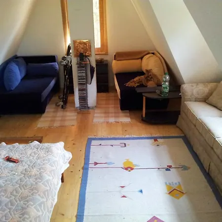 Log Forest House Dom wakacyjny