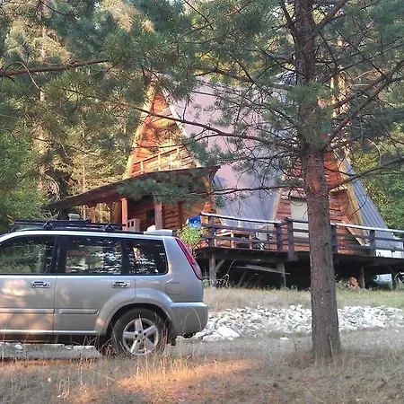 Log Forest House Dom wakacyjny *