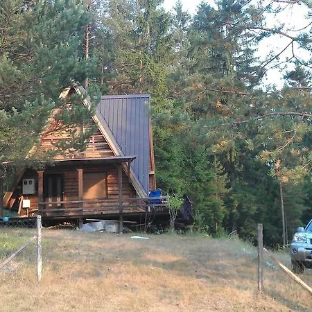 Dom wakacyjny Log Forest House