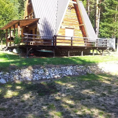 Log Forest House Dom wakacyjny