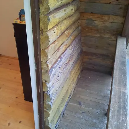 Dom wakacyjny Log Forest House